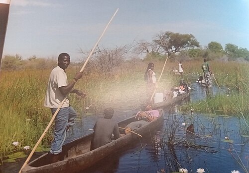 Okavango Delta, northern Botswana