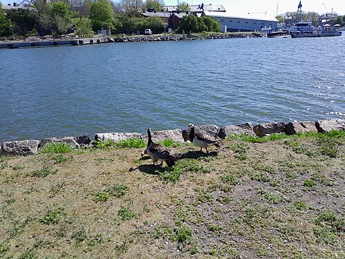 Suomenlinna Fortress, Helsinki