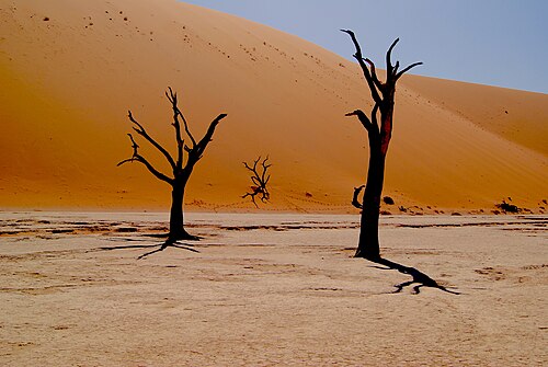 Deadvlei, Sossusvlei, Namibia