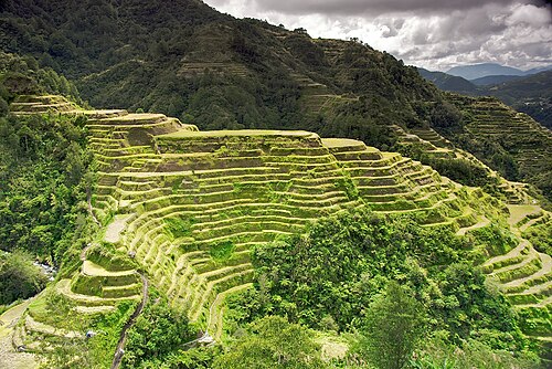 Banaue Rice Terraces, Ifugao
